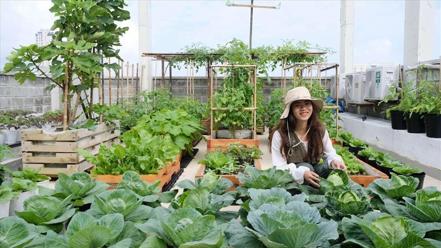 Thiết Kế Sân Thượng Đẹp | NTDecor