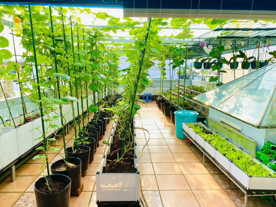 Thiết Kế Sân Thượng Đẹp | NTDecor