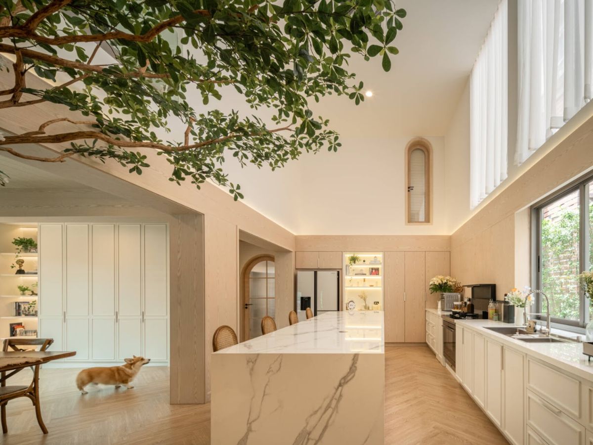 Nhân Trắc Học Trong Thiết Kế Nội Thất | NTDecor