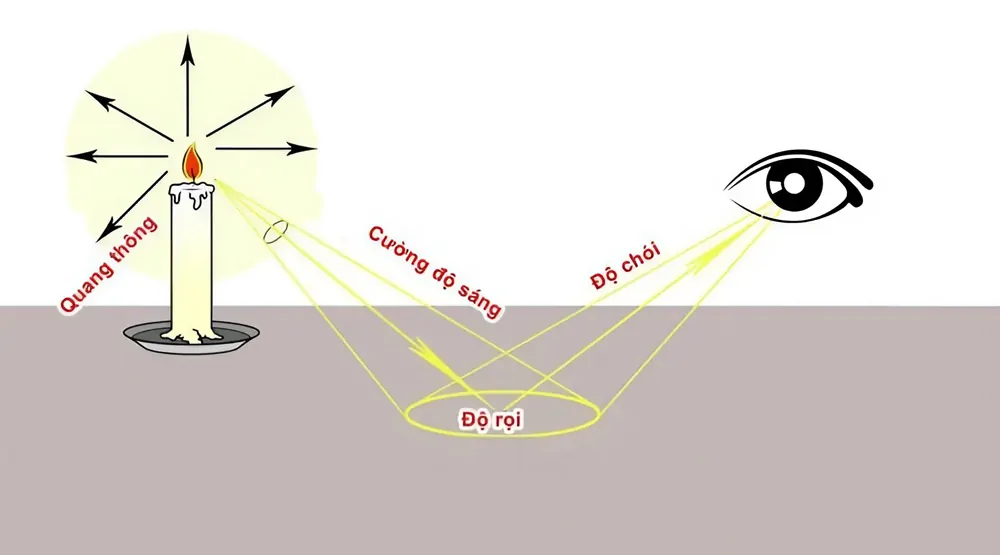 Tiêu Chuẩn Ánh Sáng | NTDecor