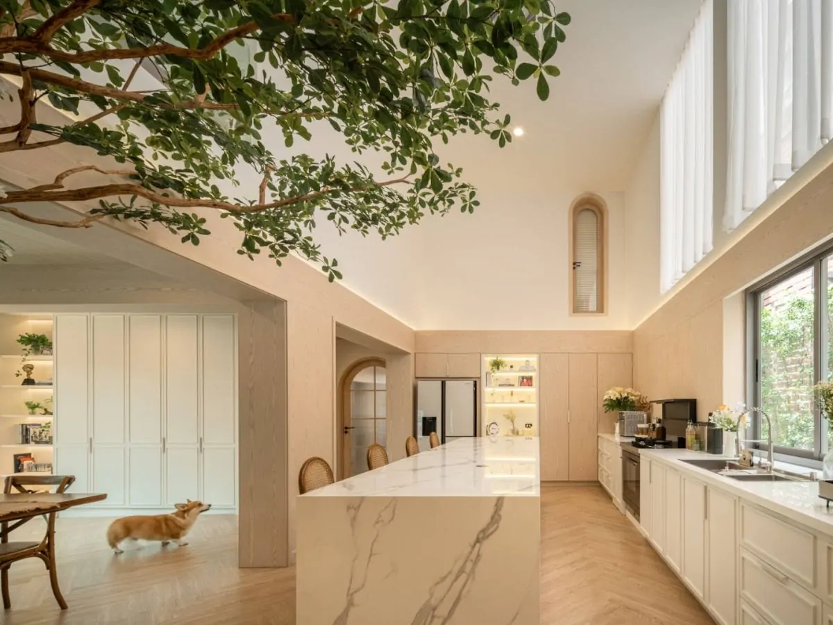 Nhân Trắc Học Trong Thiết Kế Nội Thất | NTDecor