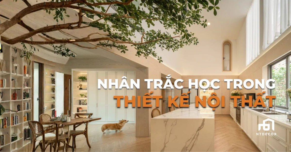 Nhân Trắc Học Trong Thiết Kế Nội Thất | NTDecor